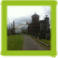 Glasgow tree surgery