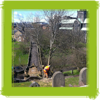 Glasgow tree surgery