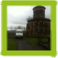 Glasgow tree surgery