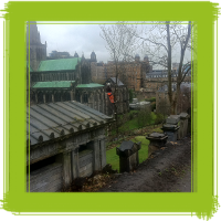 Glasgow tree surgery