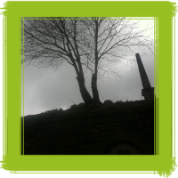 Glasgow tree surgery