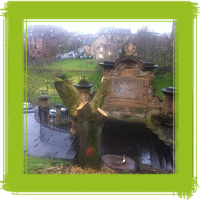 Glasgow tree surgery